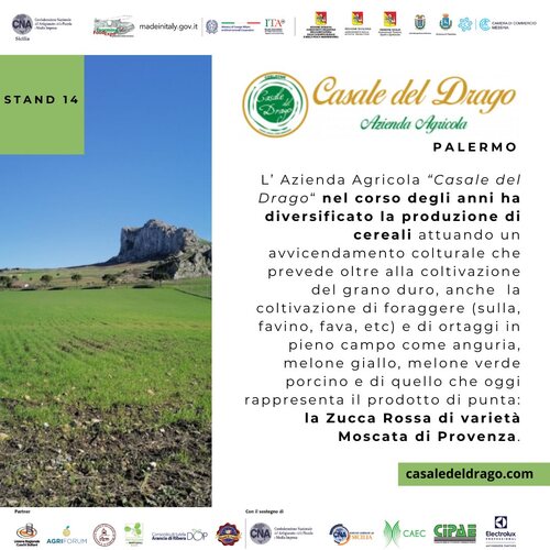 Casale del Drago 