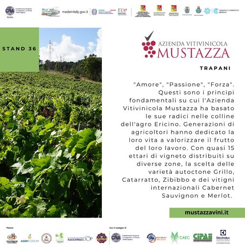 Azienda Vitivinicola Mustazza