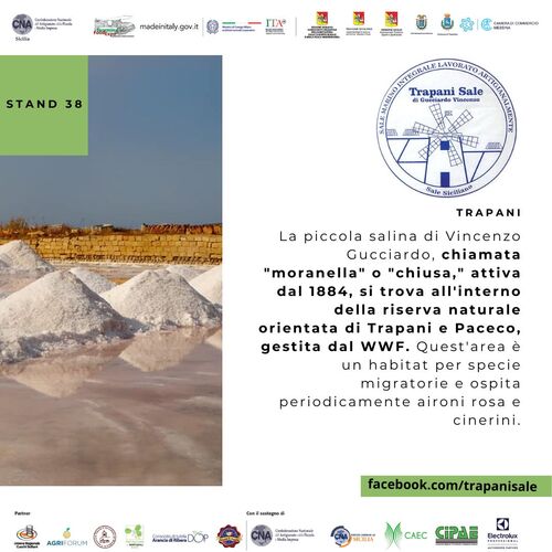 Trapani Sale
