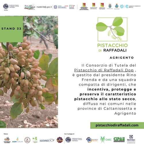 Consorzio Pistacchio di Raffadali Dop 