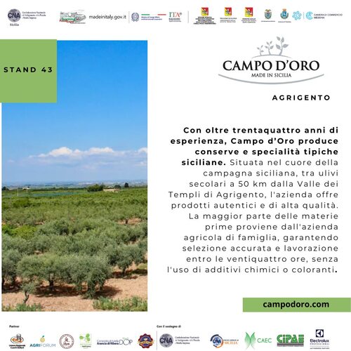 Campo d'Oro
