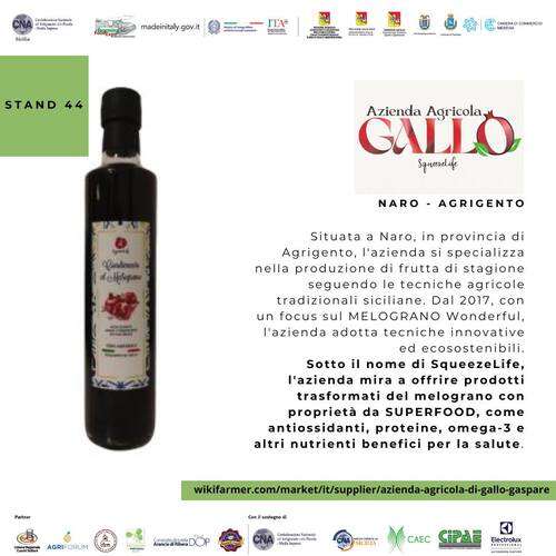 Azienda Agricola Gallo - SqueezeLife