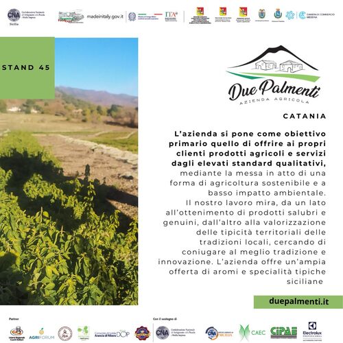 Azienda Agricola Due Palmenti