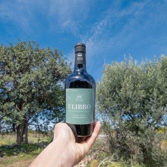 Società Agricola verso le origini srl