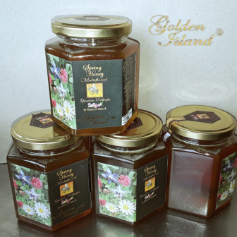 Golden Island Limited